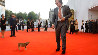 Mickey Rourke's Dog Goes To Heaven